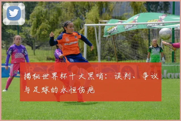 揭秘世界杯十大黑哨：误判、争议与足球的永恒伤疤
