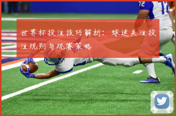世界杯投注技巧解析：球迷关注投注规则与观赛策略