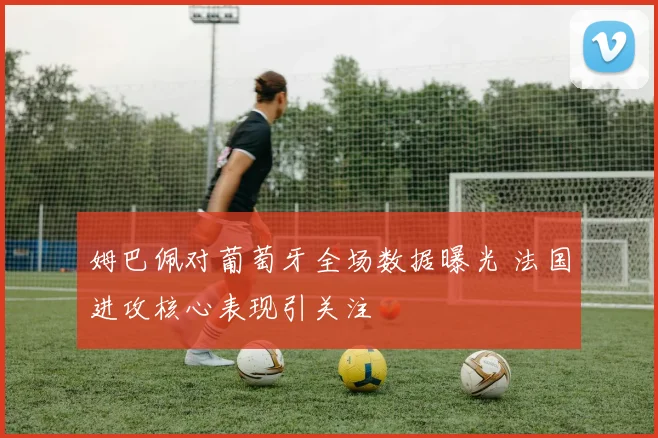 姆巴佩对葡萄牙全场数据曝光 法国进攻核心表现引关注