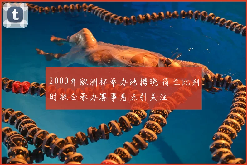2000年欧洲杯举办地揭晓 荷兰比利时联合承办赛事看点引关注