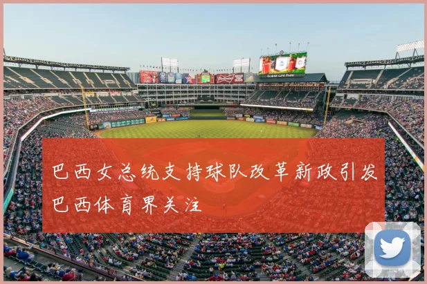 巴西女总统支持球队改革新政引发巴西体育界关注