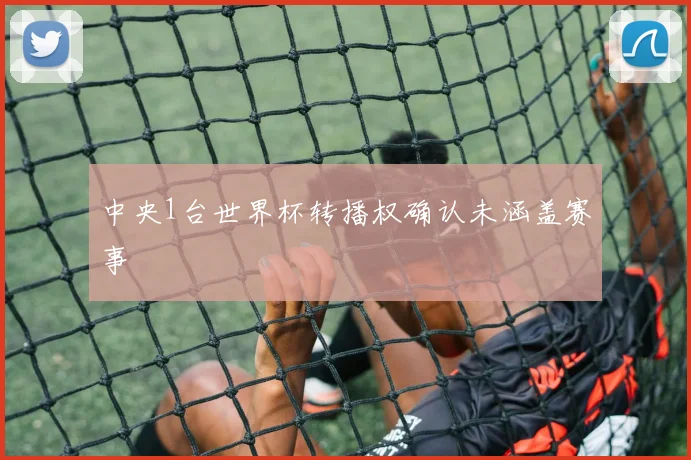 中央1台世界杯转播权确认未涵盖赛事