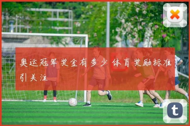 奥运冠军奖金有多少 体育奖励标准引关注