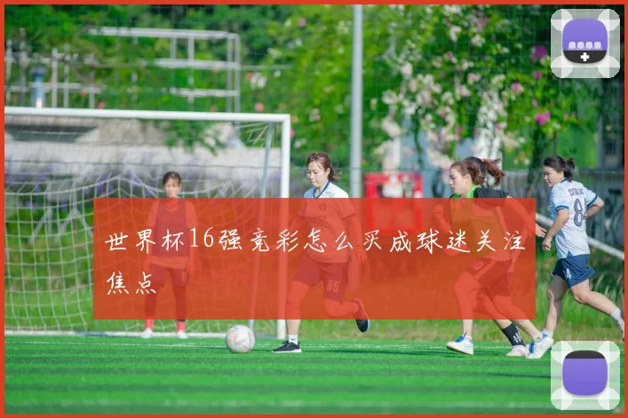 世界杯16强竞彩怎么买成球迷关注焦点